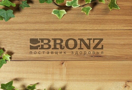 Дизайн сайта Bronz